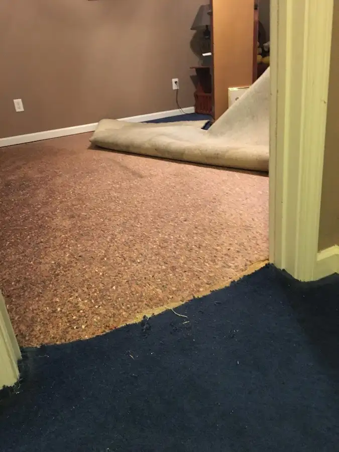 Carpet pad removal revealing water damage during Water Mitigation Services in Aliquippa